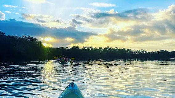 My Holbox Tours