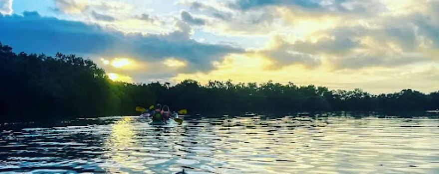My Holbox Tours