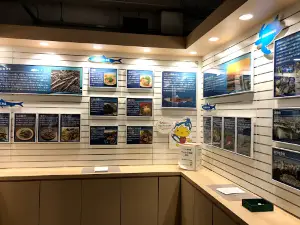 Iwashi Museum