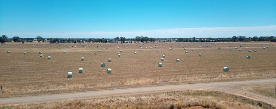 Shepparton Greyhound Racing Club