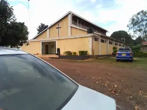 Catholic Church