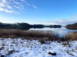 Haraldsted Lillesø (Tivolisøen) "Blå Flag Strand"