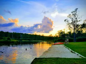 Flying Dove Ranch