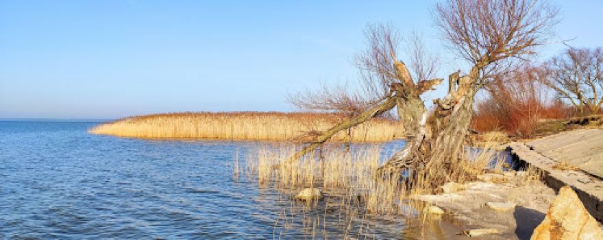Plaża Kadyny