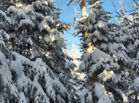 Mad River Glen Ski Area Historic District