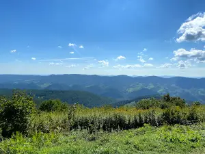 Spruce Knob