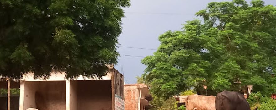Ambedaker Park