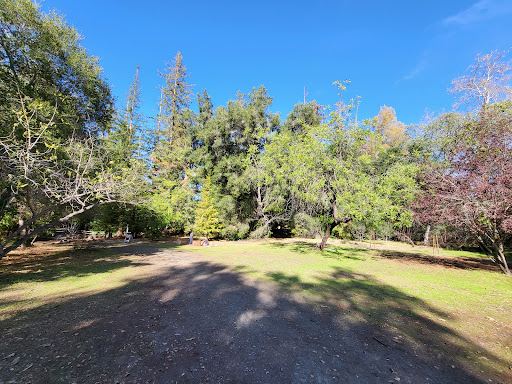 Redwood Grove Nature Preserve