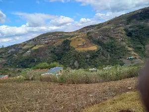 Ntshongweni