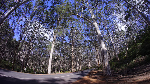 Margaret River