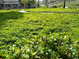 Cai Lay Park
