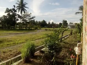 Lapangan Gori Gori