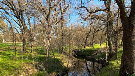 Johnson-Springview Park