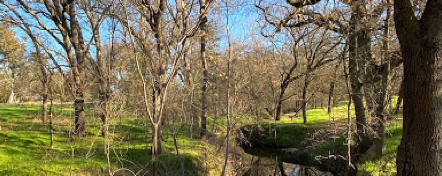 Johnson-Springview Park
