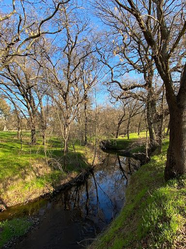 Johnson-Springview Park