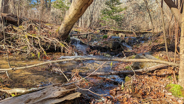 Four Ponds Conservation Area