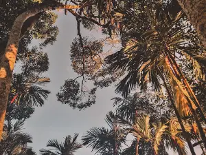 Tasik Air Putih
