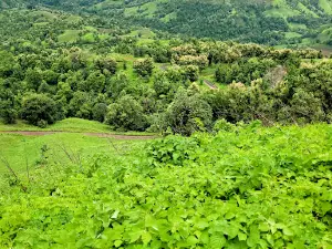 Turkheda Hill
