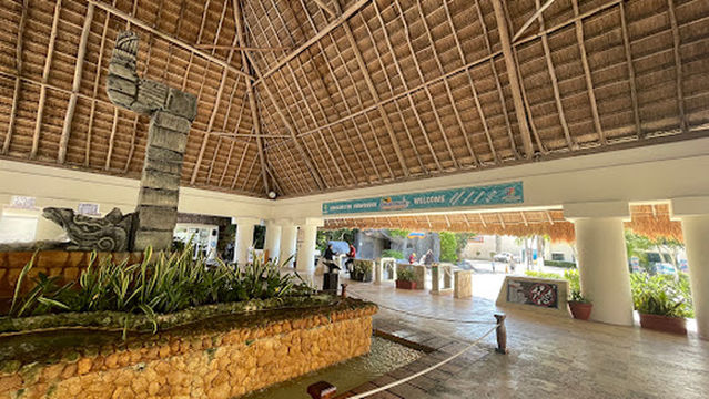 Dolphin Discovery Cozumel