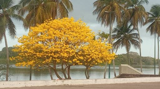 Maturin to Tucupita Flights