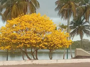 Paseo Malecon Manamo
