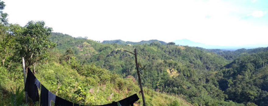 Simpang 3 Baduy