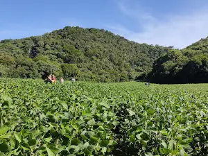 Cachoeira Várzea Bonita