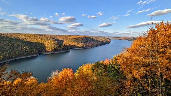 Allegheny National Forest