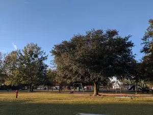 Wallace Town Recreation Department