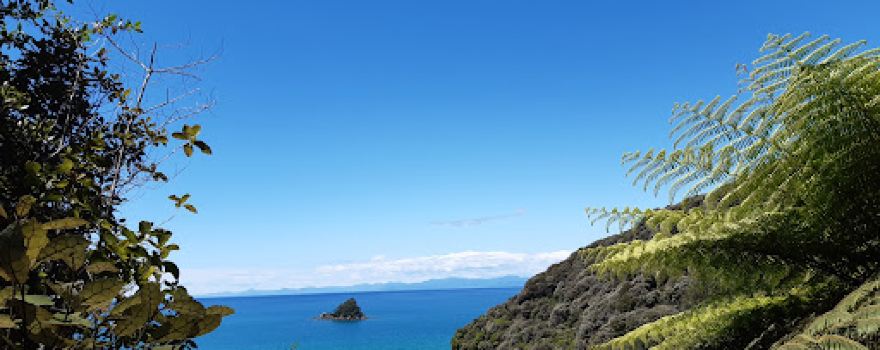 Bark Bay Campsite