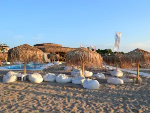 Oasis Beach
