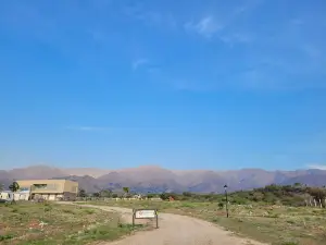 AIRES DEL MANANTIAL