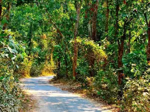 Altadighi National Park