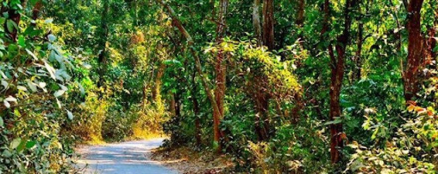 Altadighi National Park