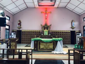 Our Lady Of Lourdes