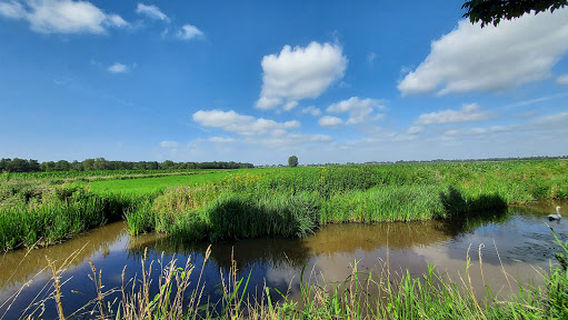 Ligweide Maarsveense Plassen