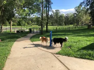 Lake Alford Dog Park