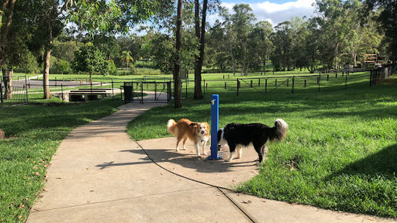 Lake Alford Dog Park