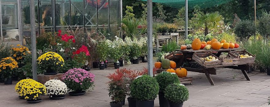 Tuincentrum Banga