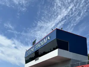 Lions Stadium