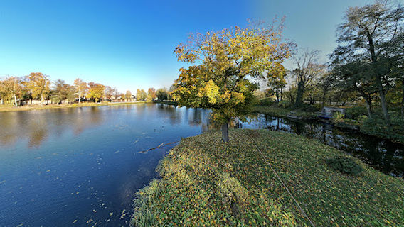 The palace and park in Dobra