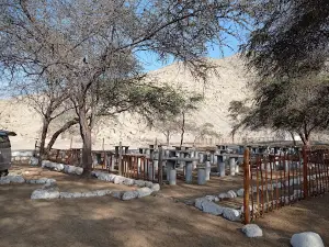 Templo Arqueologico Sechin