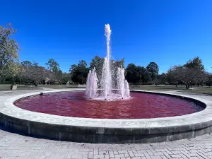 Senior Citizen's Park