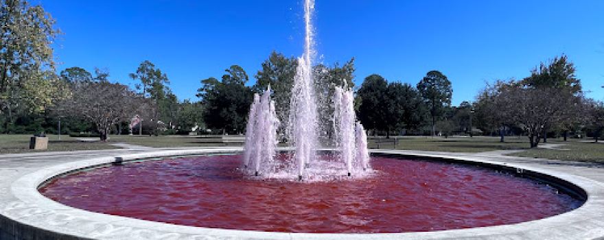 Senior Citizen's Park