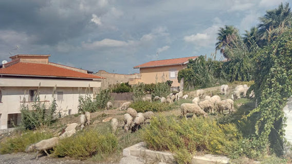 Alcamo Marina
