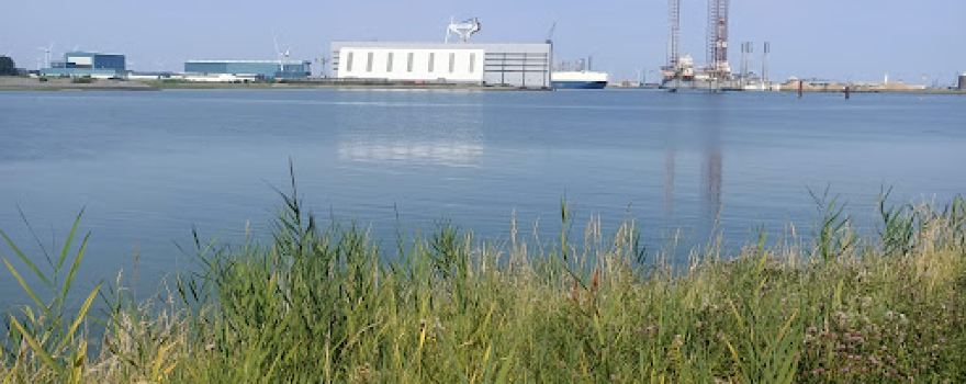 Populaire Losloopzone Voor Honden