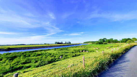 Bornhorster Huntewiesen