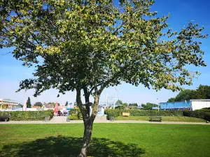 Auebad Wendeburg I Das Sommer-Freizeitvergnügen mit Herz in der Region Braunschweig