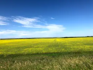 Enchanted Highway