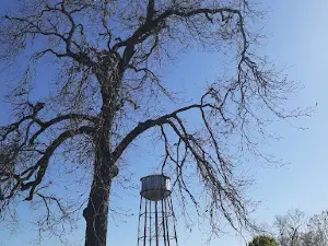 George Franks Field